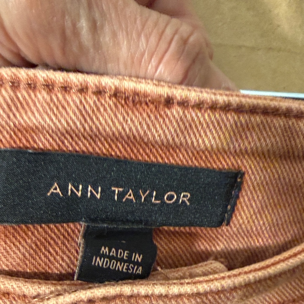 Ann Taylor Terracotta Wide Leg Pants - Picture 3 of 6